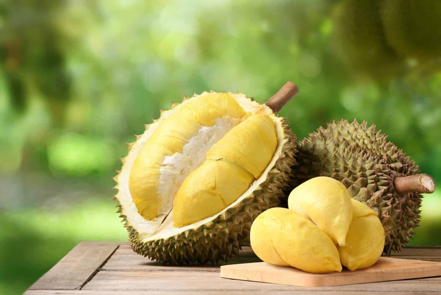 Ini Rahasia Durian Tingkatkan Daya Tarik Pariwisata