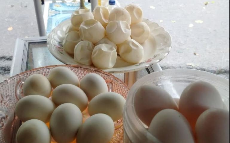 Ingat, Telur Penyu Tidak Boleh Dikonsumsi
