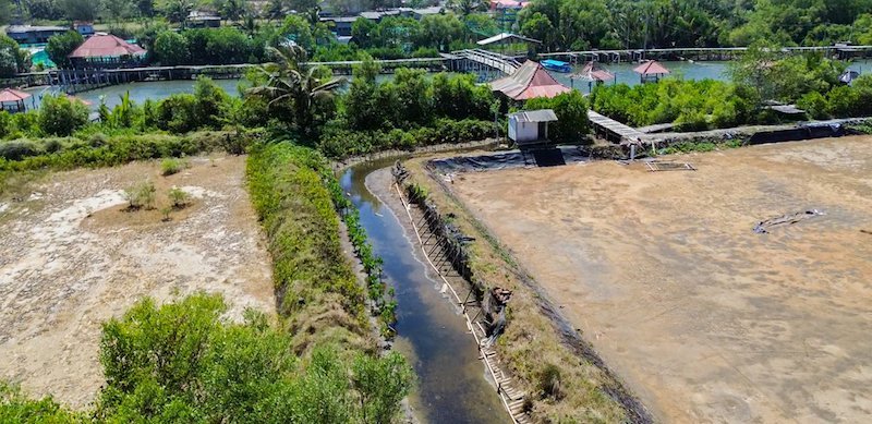 PT Bigga Damai Utama Lakukan Aksi Tanam 1.000 Bibit Mangrove