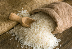 Alasan Perumda Food Station Jadi Penyangga Vital Ketahanan Pangan Jakarta