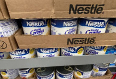 Kebijakan Ekstrem CEO Baru Nestlé, Jual Aset Lesu, PHK Massal, hingga Fokus Kopi dan Makanan Beku