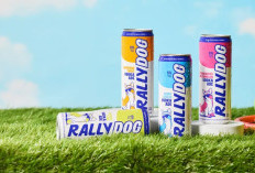 Boston Beer Incar Kategori Baru, Vodka Ade Diprediksi Jadi Tren Besar Industri Alkohol