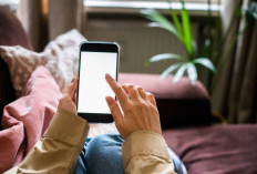 Bahaya, Sering Begadang Scrolling Ponsel, Organ Tubuh Rusak