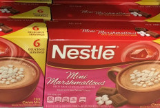Nestlé Gandakan Investasi di Meksiko Menjadi Rp 31,5 Triliun untuk Perkuat Produksi