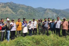 Kementerian Pertanian Lakukan Percepatan Tanam di Desa Kertamukti Kabupaten Sukabumi Jawa Barat