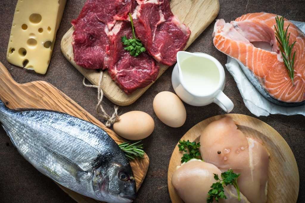 Penting, Cegah Stunting Lewat Protein Hewani