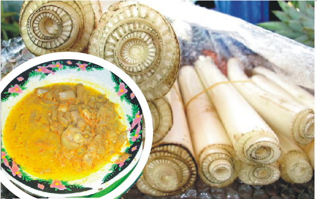 Menikmati Sayur Ares Khas Lombok dalam Bentuk Kemasan