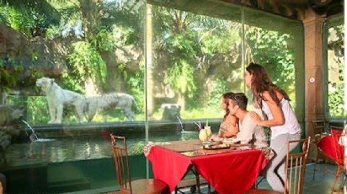 Makan Sedap Menu Nusantara Sambil Ditemani Harimau Sangar