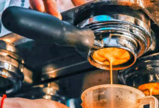 Jangan Sampai Tertipu Kemasan, Ini Perbedaan Biji Kopi Espresso dan Drip yang Jarang Orang Tahu