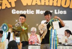 Pentingnya Edukasi Kepedulian terhadap Hewan Peliharaan